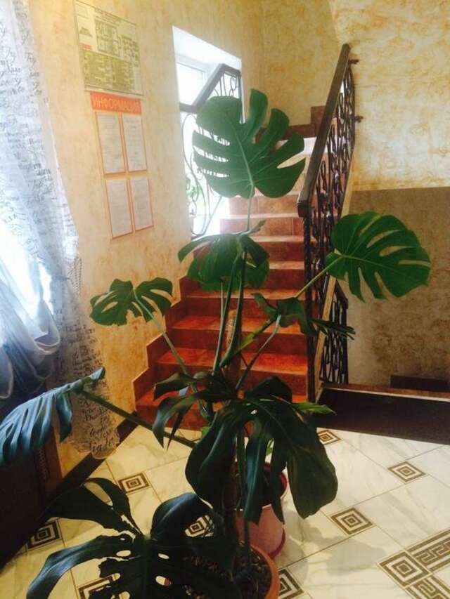 Гостиница Gold Ковров-19