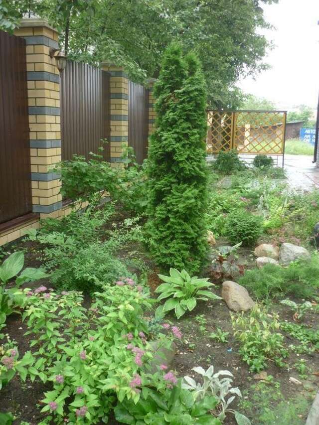 Гостиница Gold Ковров-80